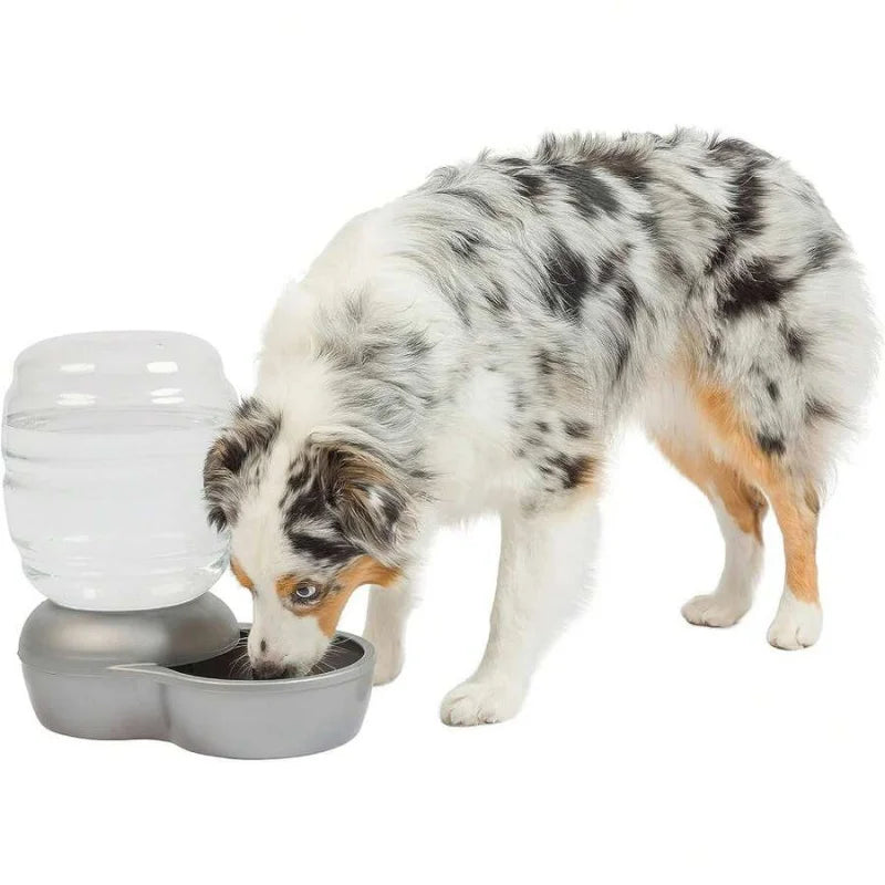 Automatic Gravity Pet Water Dispenser With Charcoal Filter