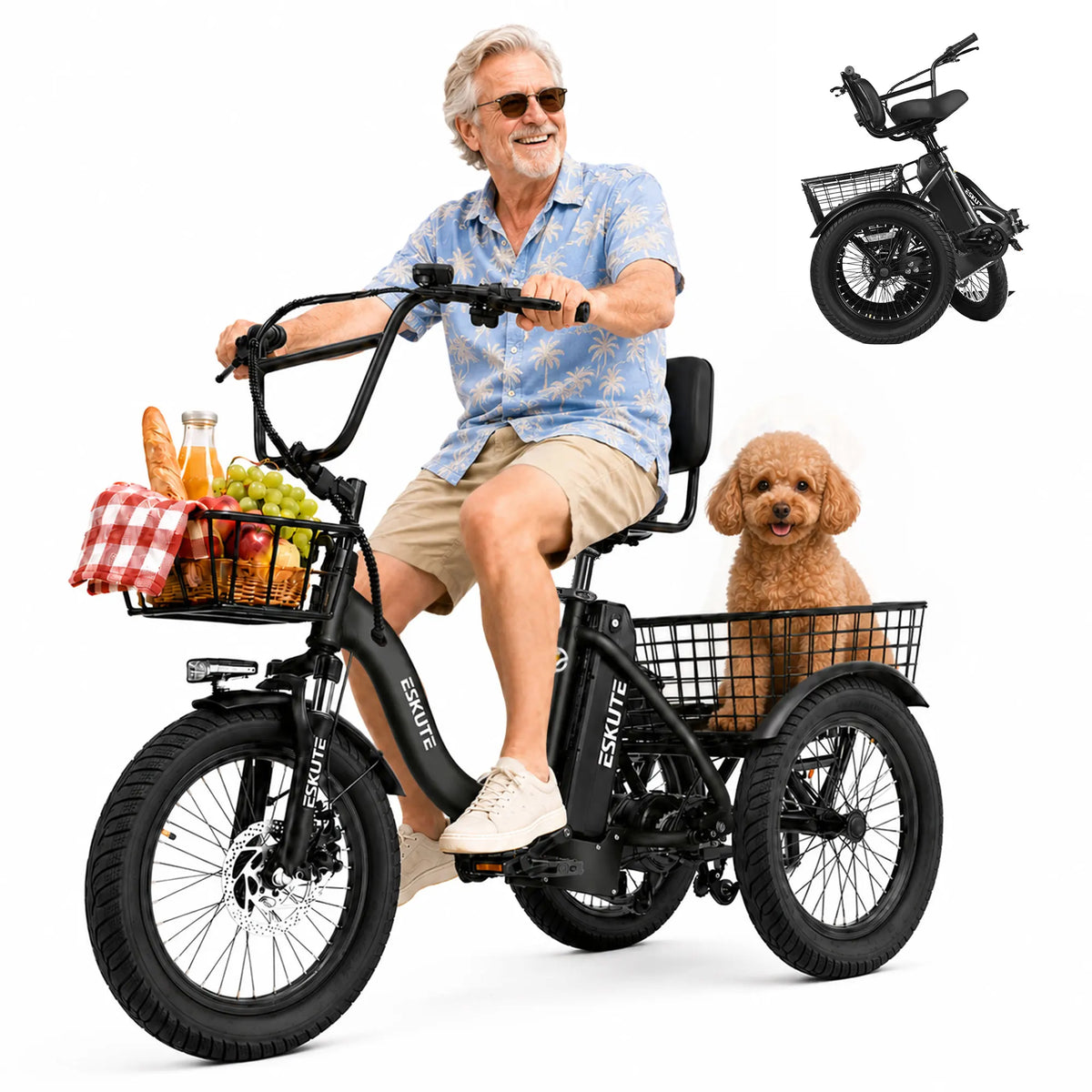 ESKUTE Electric Trike With Brushless Motor And Removable Battery