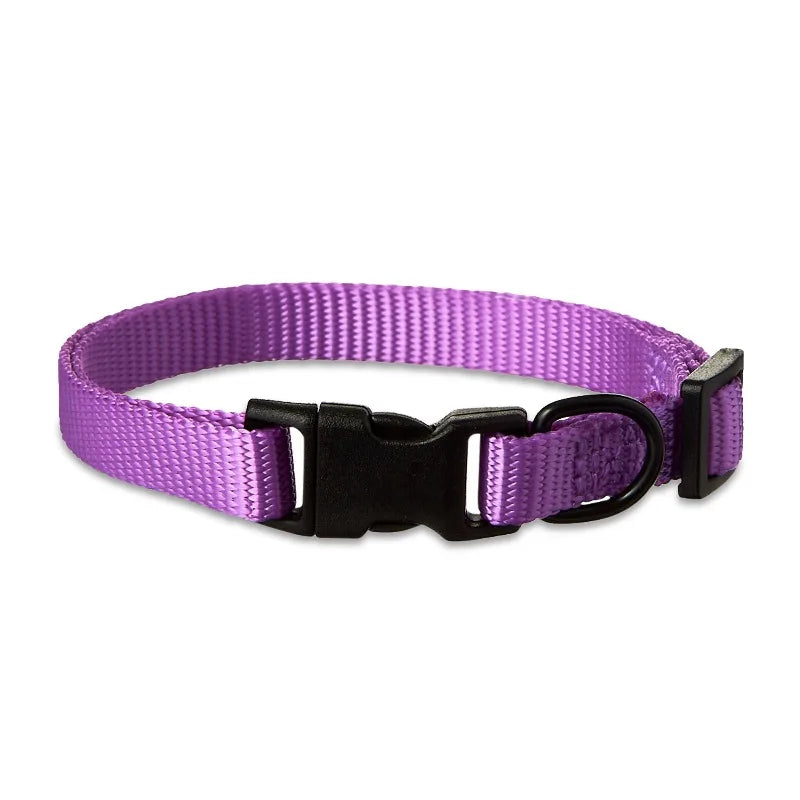 Polyester Adjustable Dog Collar, Purple, S