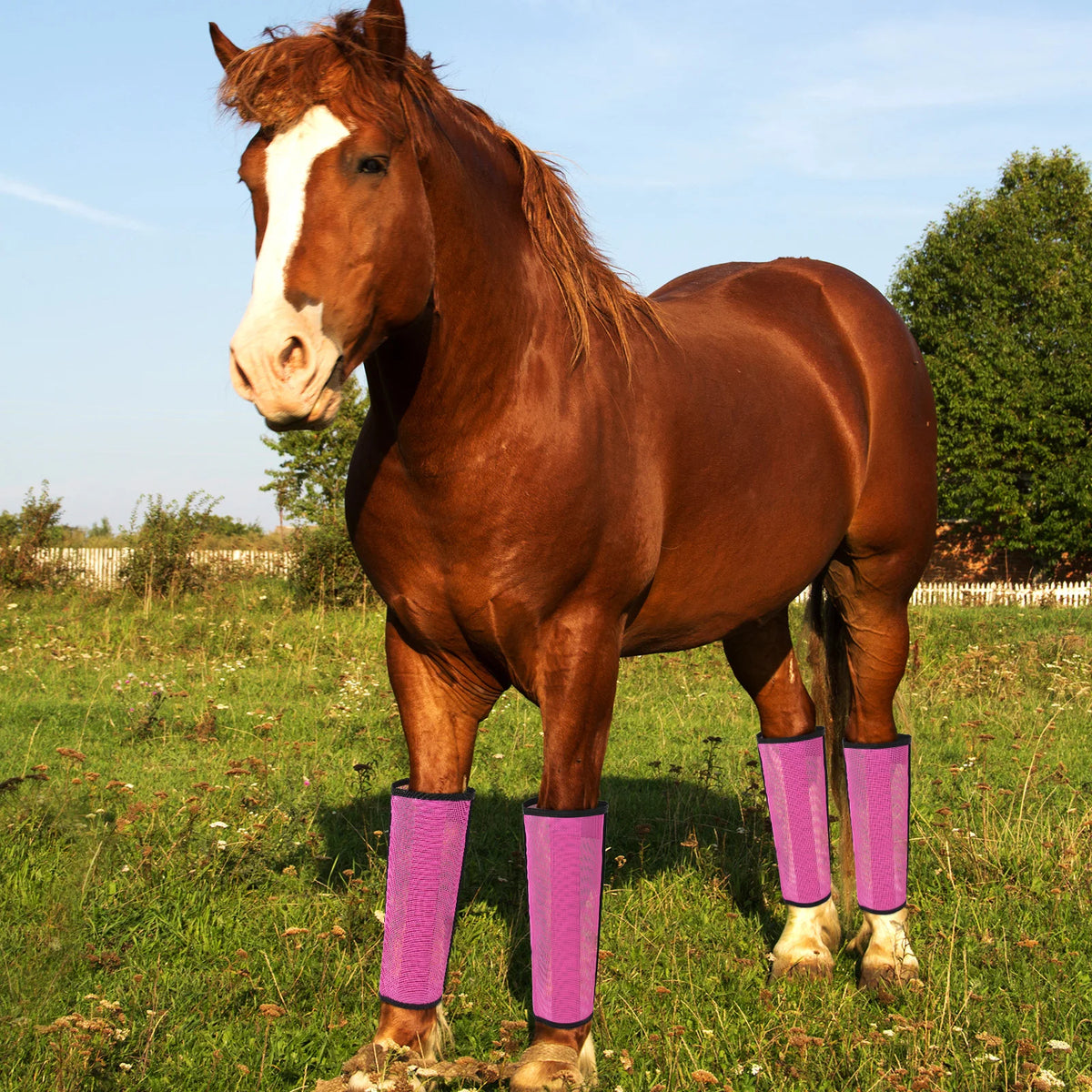 Breathable Mesh Horse Leg Wraps For Fly And Mosquito Protection