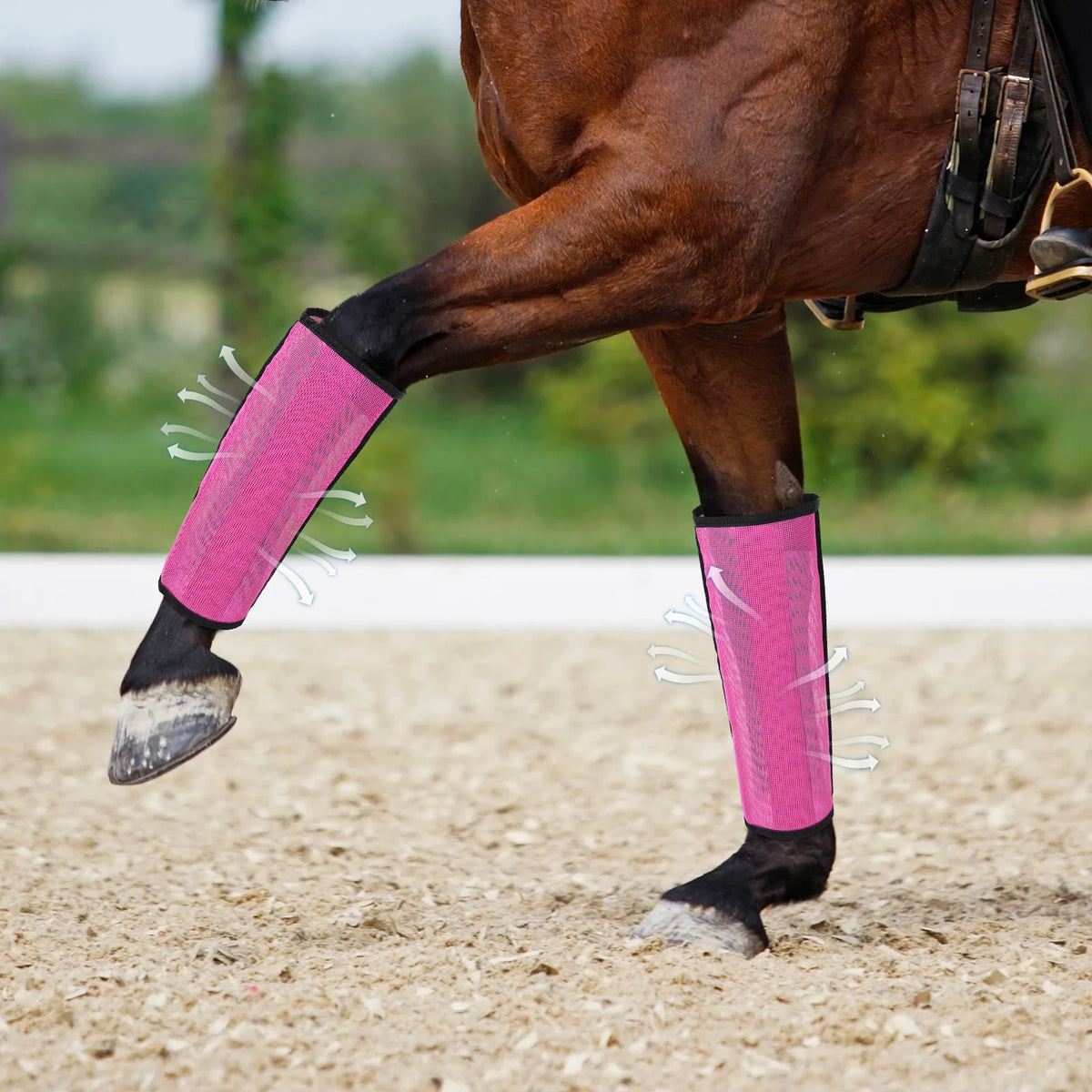 Breathable Mesh Horse Leg Wraps For Fly And Mosquito Protection