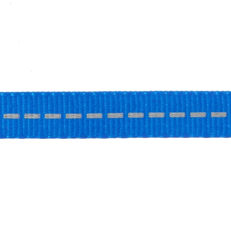 Reflective Polyester Dog Leash With Comfortable Visibility