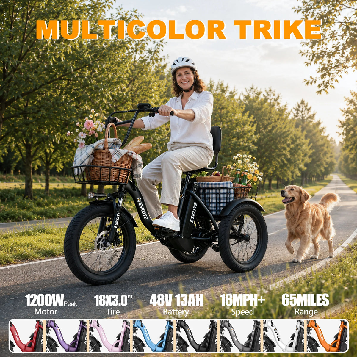 ESKUTE Electric Trike With Brushless Motor And Removable Battery