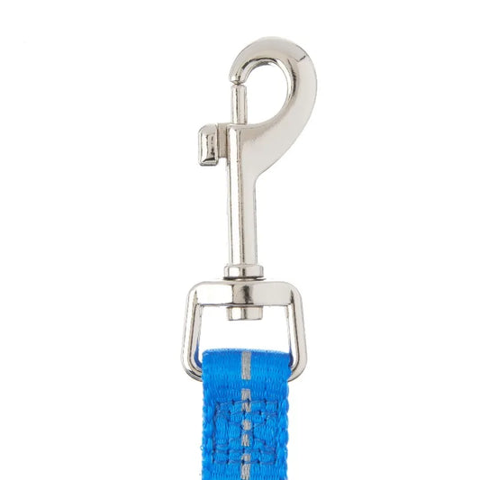 Reflective Polyester Dog Leash With Comfortable Visibility