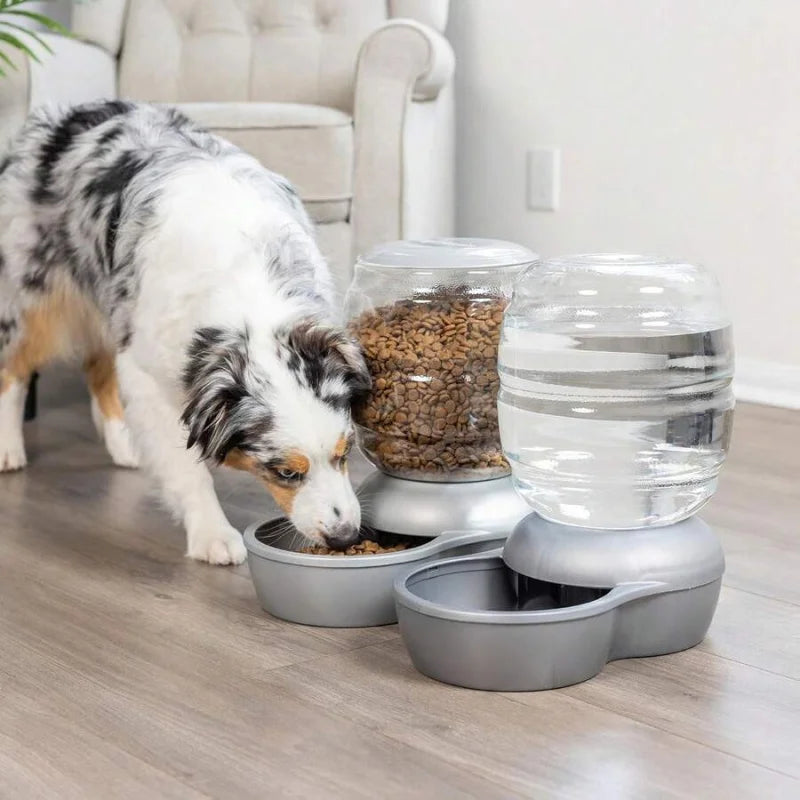 Automatic Gravity Pet Water Dispenser With Charcoal Filter