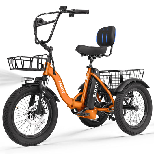 ESKUTE Electric Trike With Brushless Motor And Removable Battery